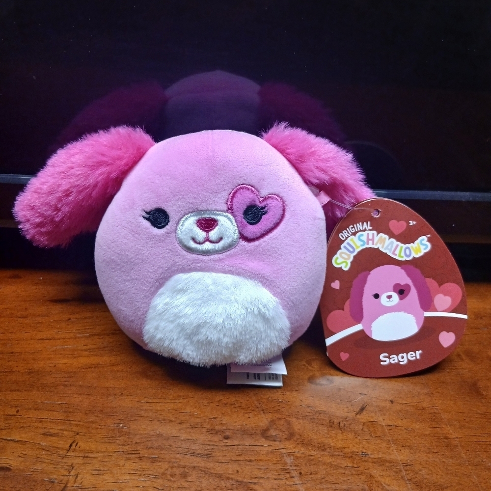 ๐ฉต3/$20๐ฉต Squishmallows Sager, 4"